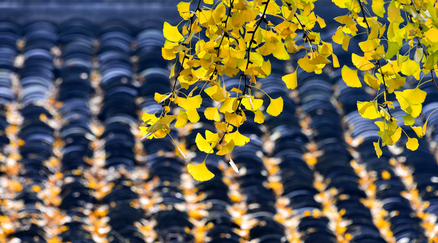 易经讲不顺的时候怎么办,易经中感觉不顺是什么原因