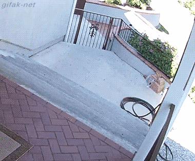 男子被车撞出3米求生欲,求生欲创造奇迹男子被撞