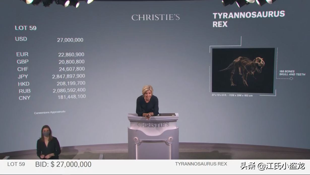 最珍贵的恐龙化石拍卖几十亿,史上最巨型恐龙