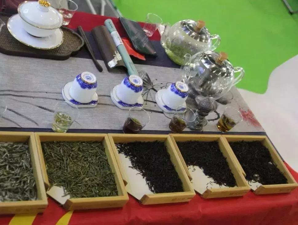 第三届国际茶博会开展！最全逛展攻略来了，附免费领门票通道