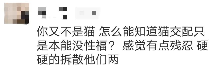 猫割了蛋,猫割了蛋会怎么样