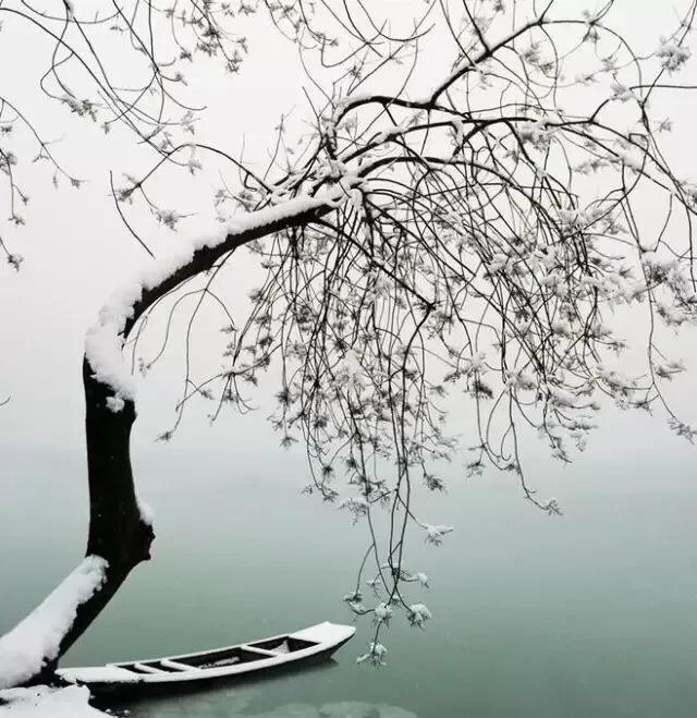 风吹腊梅香小寒日初长,风吹腊梅香的诗句