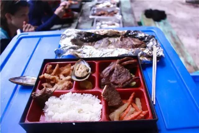 对帕劳之行的感悟,帕劳一场诗和远方的旅行