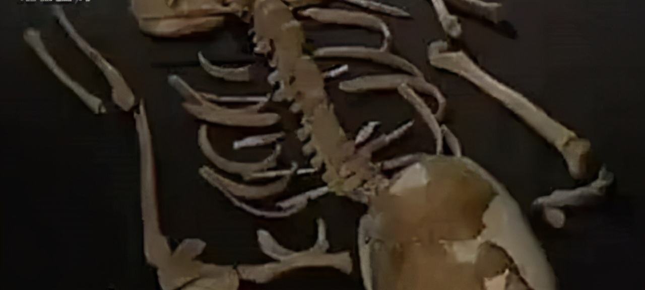 古墓出土46个少女尸体,千年古墓出土46具少女尸体