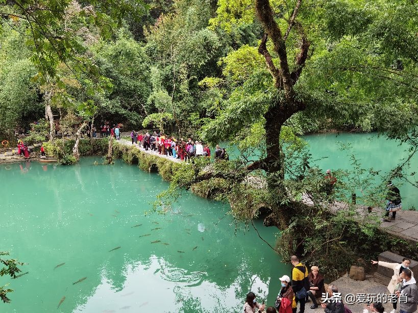 贵州双飞六日游跟团游,贵州双飞六日游多少价格