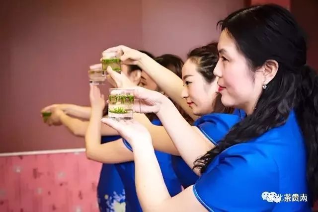 茶眼看陕西,茶眼看中国茶