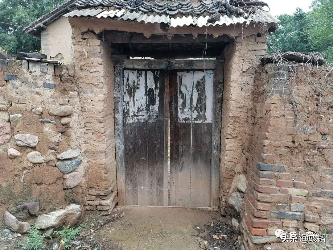 周末回老家的惬意时光,周末回农村的乐趣