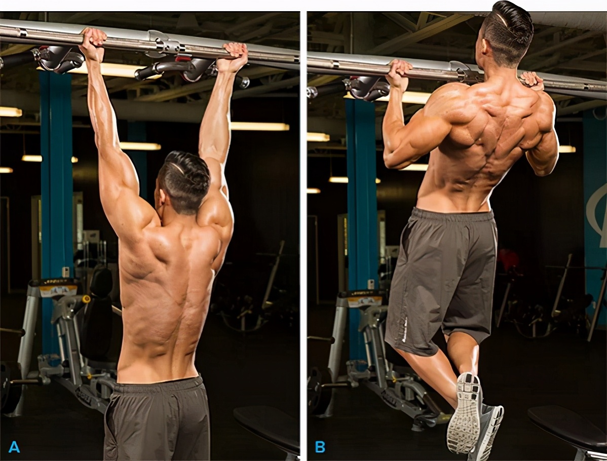 背部训练健身体式动作图解,健身背部训练背背佳