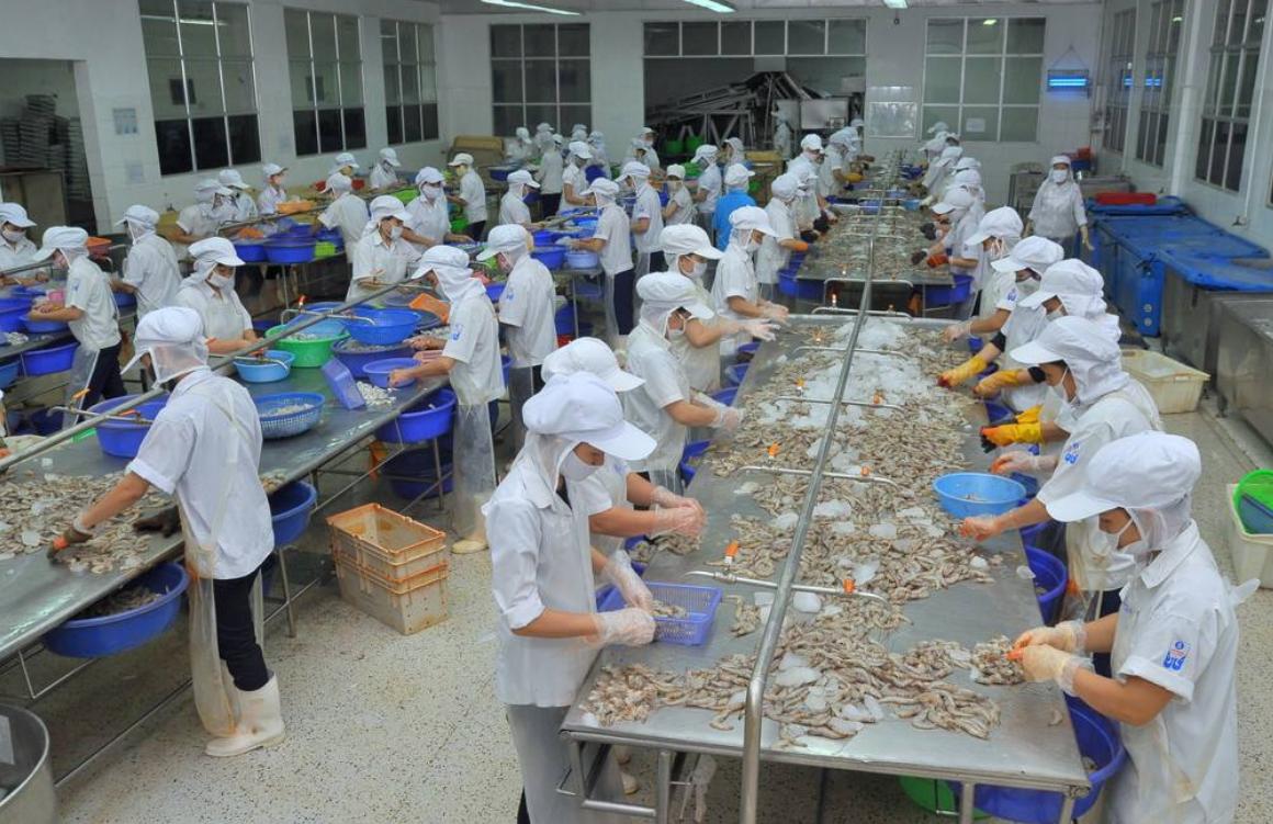 越南的改革开放对我国的影响,越南西化改革