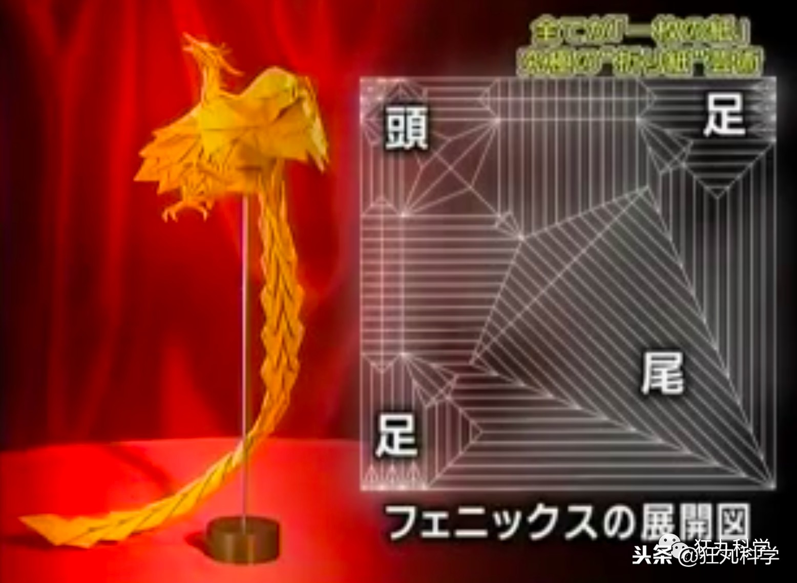 折纸大神的所有折纸,折纸大神教折纸