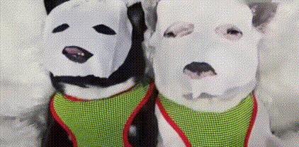 不管什么面膜是不是用了都起作用,这才是真正有效的面膜