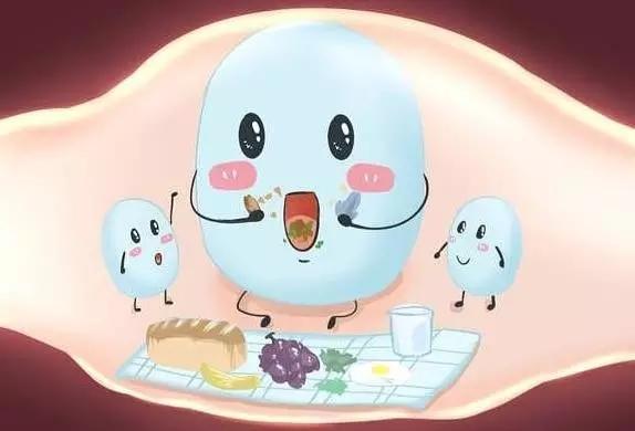 抗生素会杀死益生菌吗,抗生素会杀死植物吗