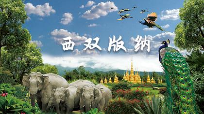 西双版纳风景之旅自由行旅游攻略,邂逅雨林西双版纳秘境之旅