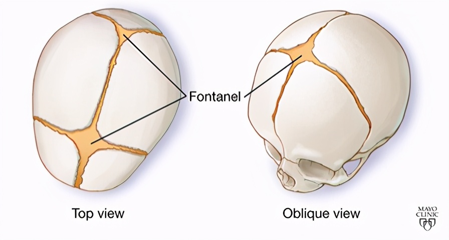 小孩呕吐要查呕吐物不,小孩检测呕吐四川观察