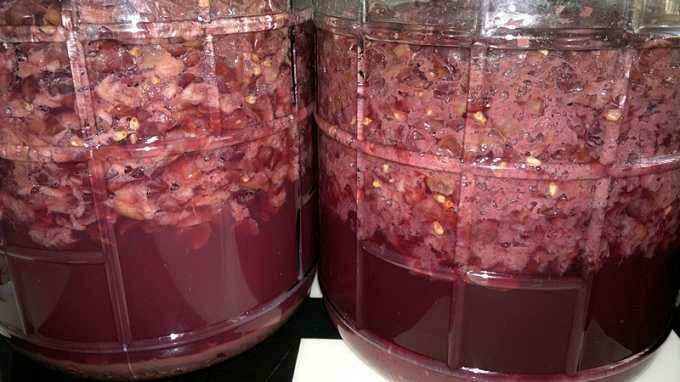 怎么在家自制葡萄酒甲醇不超标,如何用葡萄酒烹饪美味菜肴