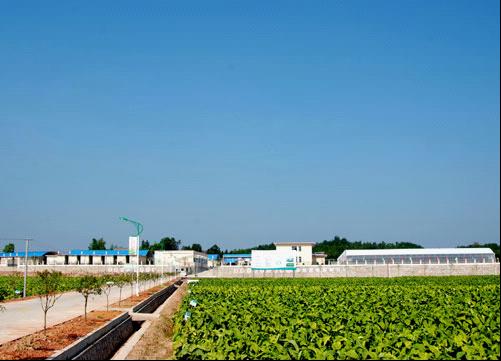 农民合作社贷款怎么贷,农民专业合作社农耕贷