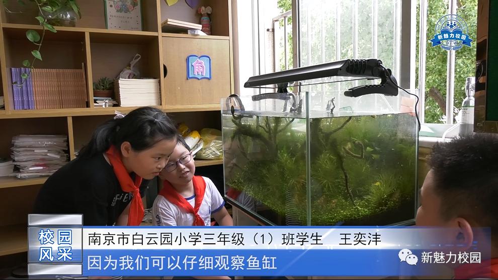 校园风采走进校园南京市白云园小学