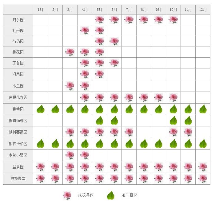 五月花神芍药花，在北京这个公园肆意绽放，门票仅10元