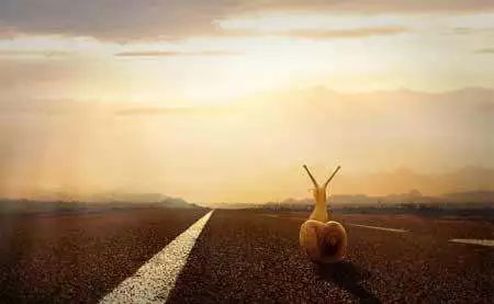 不建议考cpa有什么理由吗,为什么我不愿意放弃考研