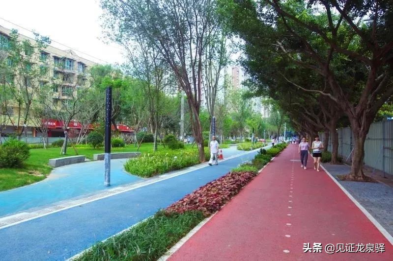 四川省NO.1！龙泉驿凭什么能获全国绿色发展百强区？背后竟藏着这样的秘密~