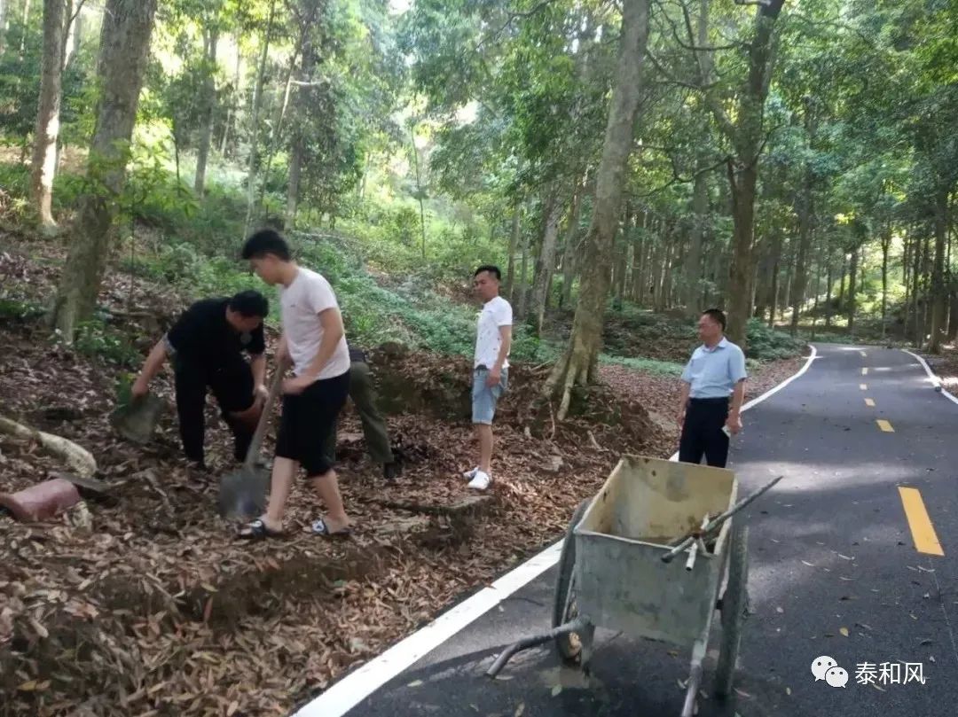 新时代文明实践在行动,新时代文明实践阵地矩阵