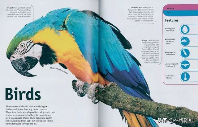 dk知识大百科全套,dk知识大百科书金银版