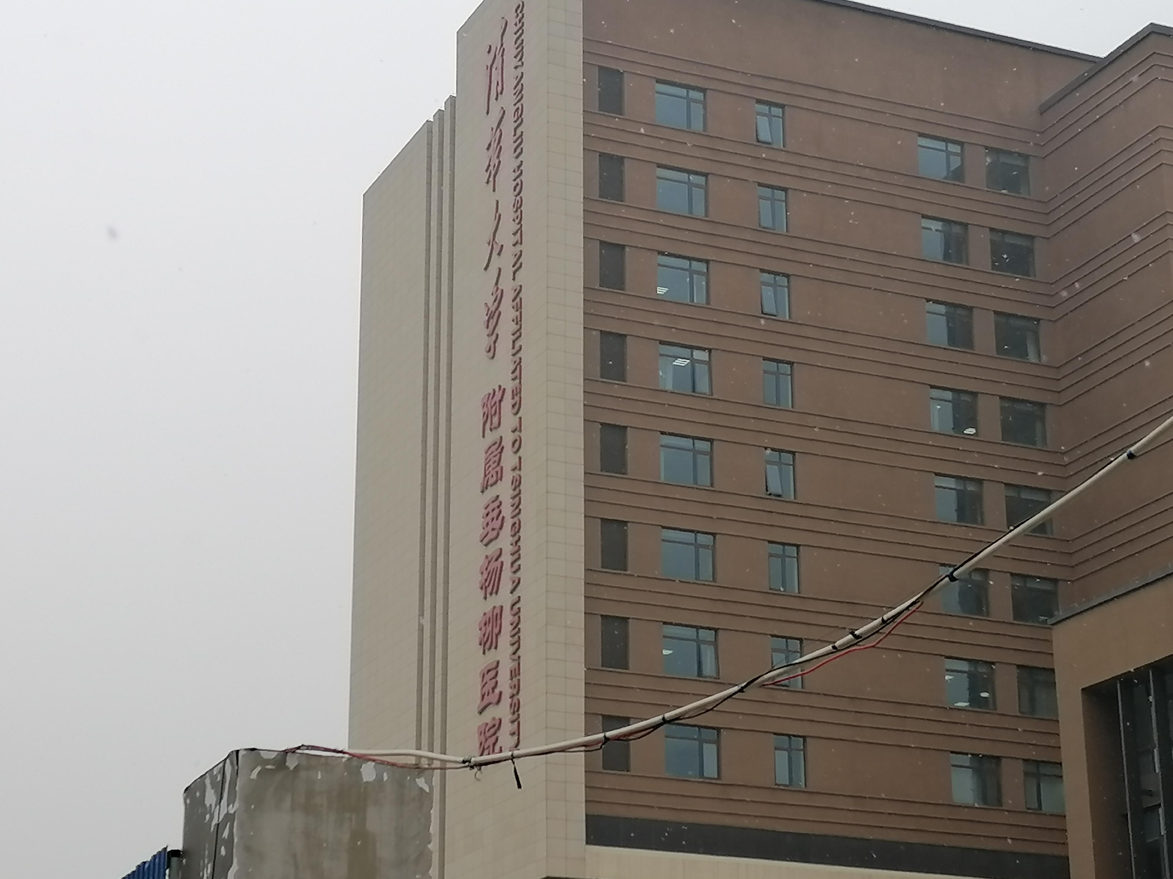 黎老太太全部视频,黎老太的故事完整视频