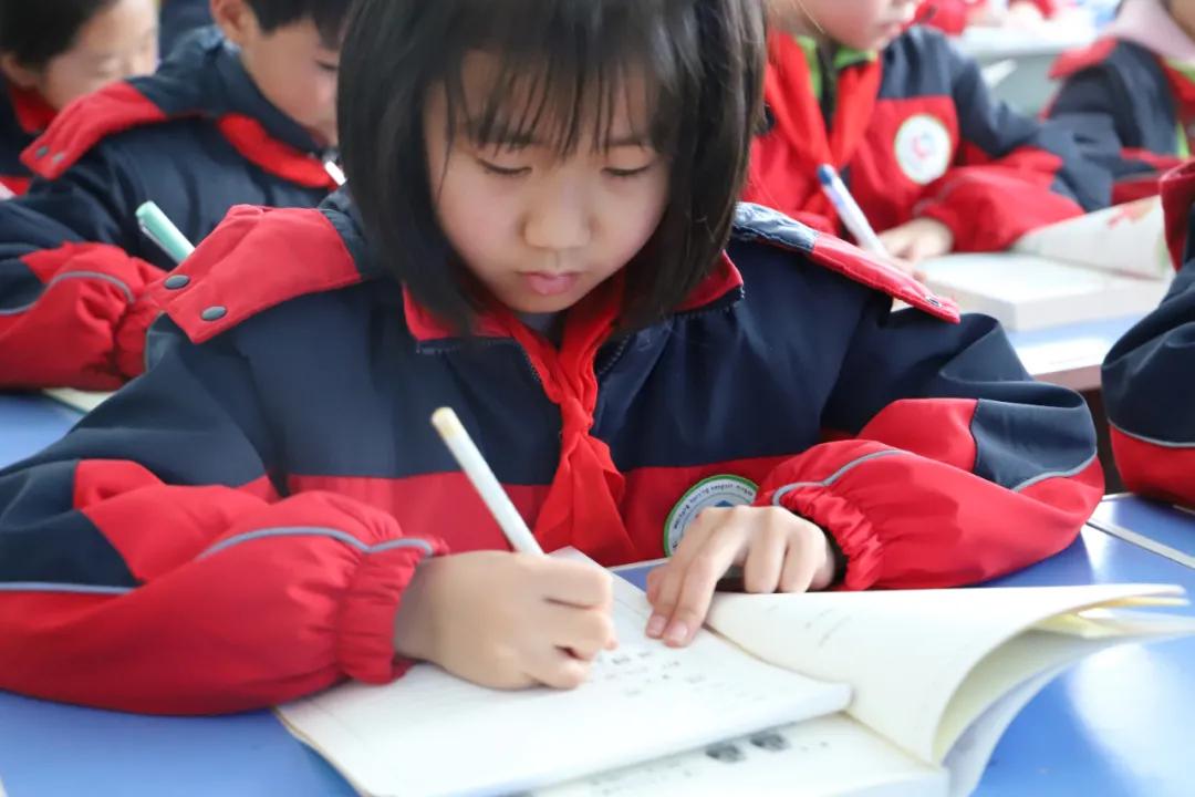 2018寒亭恒信明德学校,潍坊市寒亭区恒信明德小学怎么样