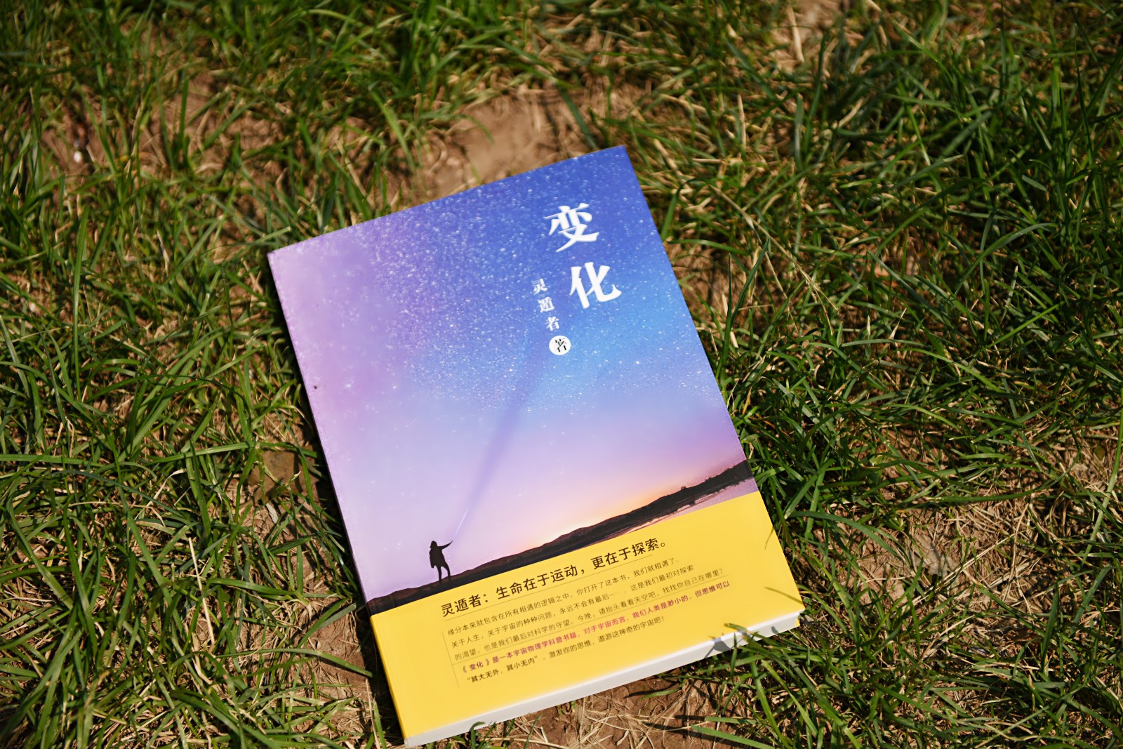 预言蜜蜂灭绝真相,爱因斯坦预言蜜蜂消失人类灭亡