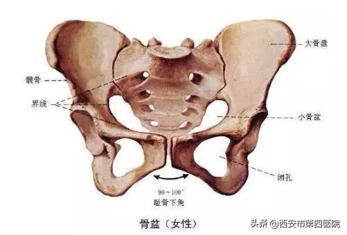 剖宫产的孩子和顺产的孩子的区别,一胎剖宫产二胎顺产的几率有多大