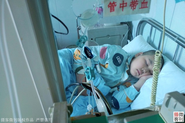 13岁女孩白血病3年花了80万,13岁女孩白血病3年花了80万捐款