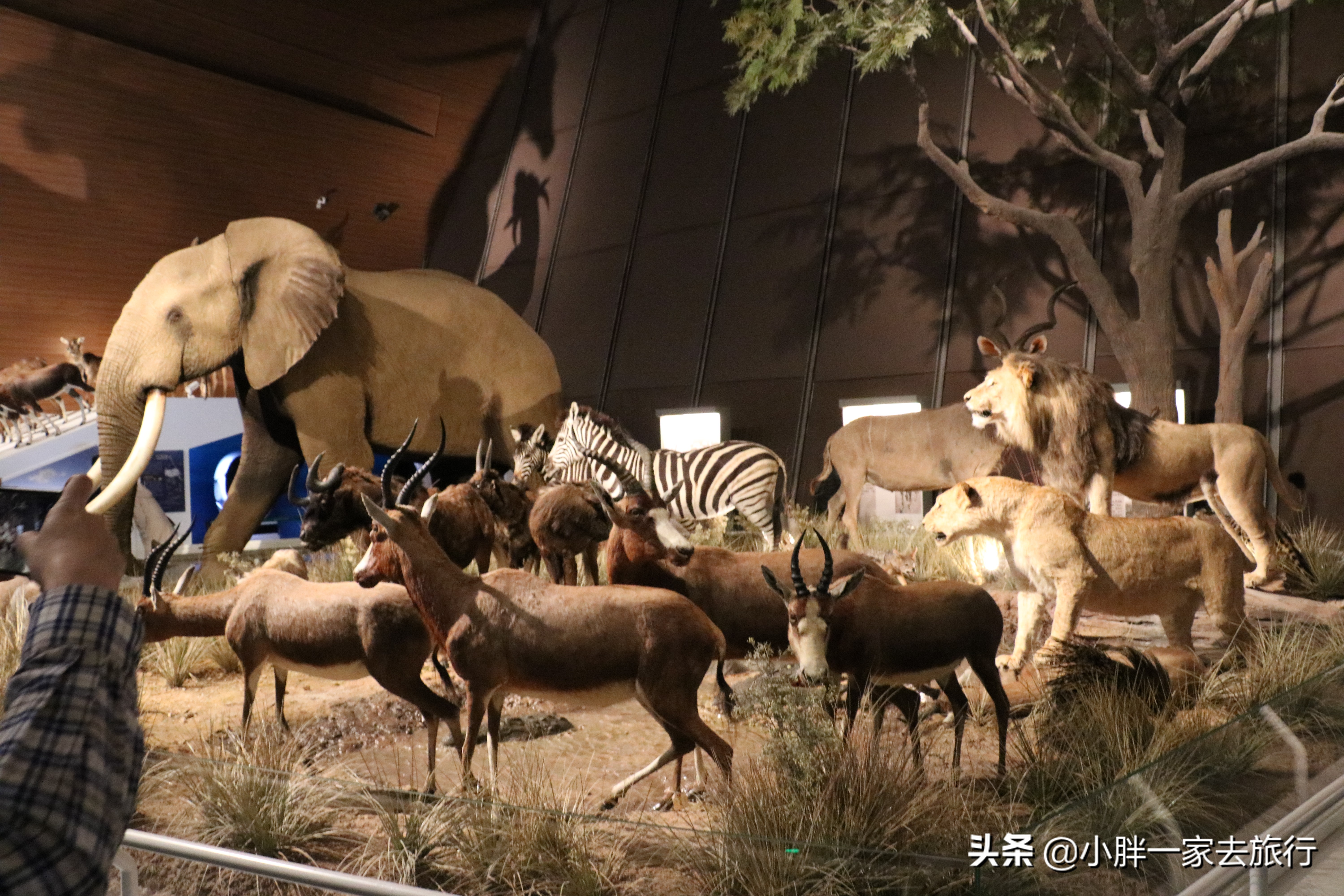 最大的北京海洋博物馆,海上故宫国家海洋博物馆