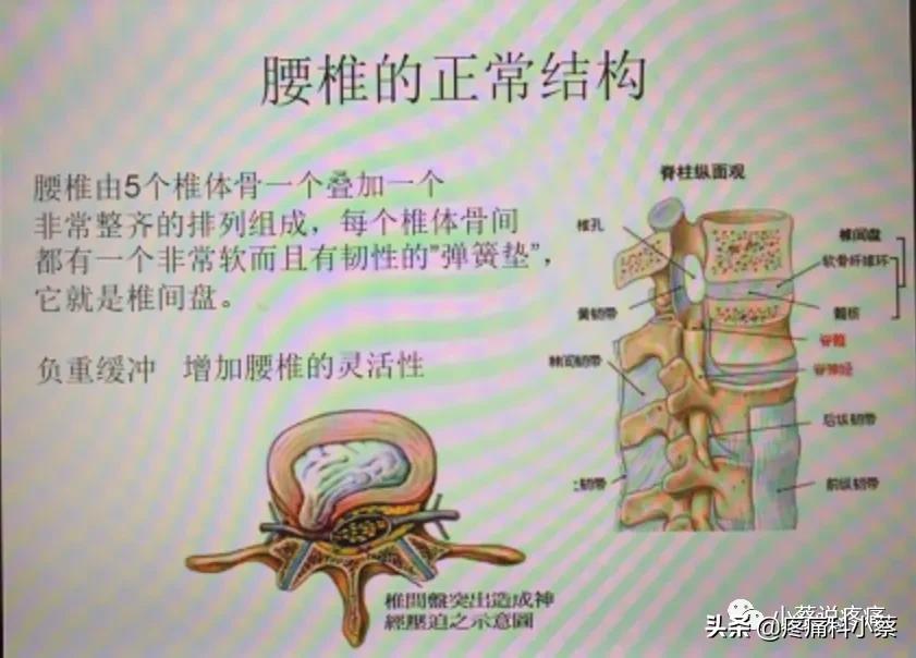 蔡主任讲座视频,蔡主任团队
