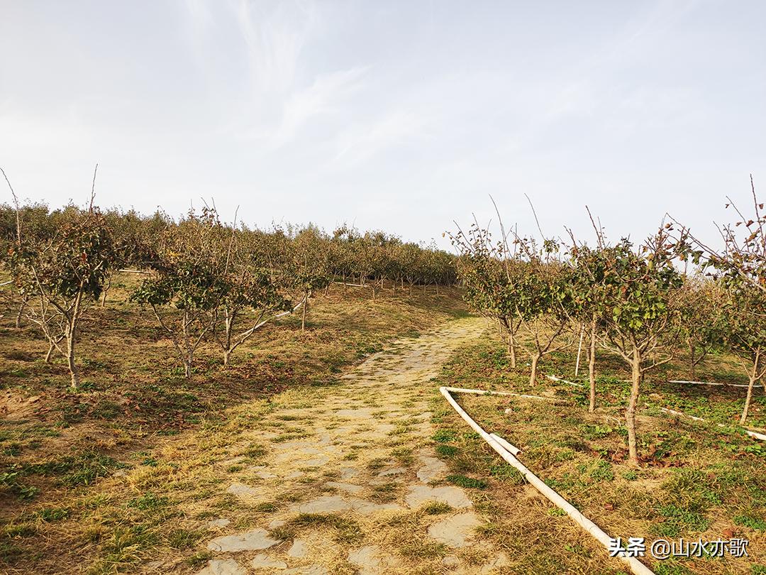 石家庄滹沱河生态区风景如画,石家庄市滹沱河美景