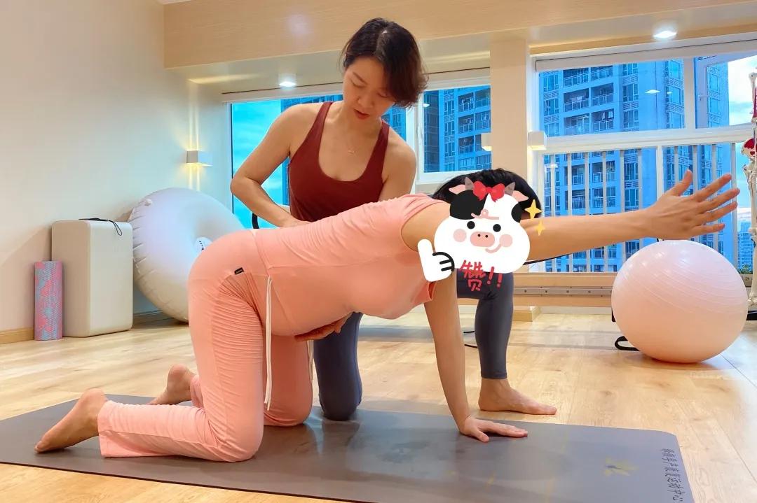 怀孕的人能跑步运动吗,怀孕了可以跳郑多燕吗