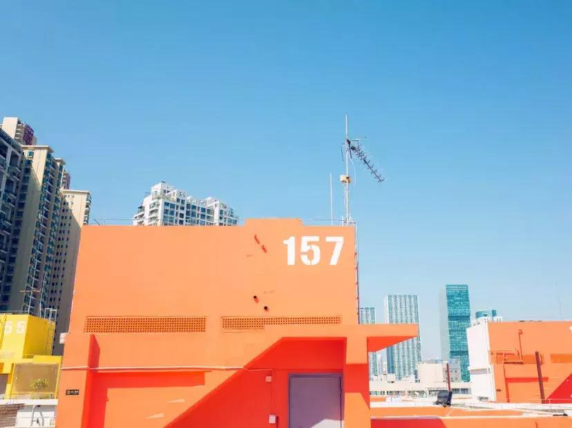 春日赏花深圳,深圳春游赏花