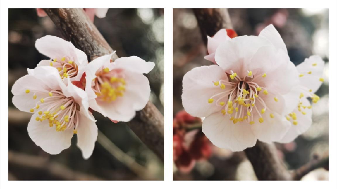 北京的园子有哪些,记忆中的老北京公园