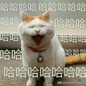 秋天干燥头皮屑怎么去除,光头头皮屑多怎么去除最简单方法