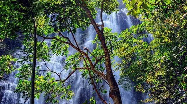 广东天子山瀑布旅游景点,广东瀑布景点有哪些