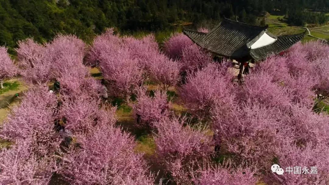 八仙过海各显神通的品质是什么,八仙过海各显神通的品质