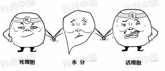 儿童手指起倒刺是缺少哪种维生素,指甲周围长倒刺是缺少什么维生素