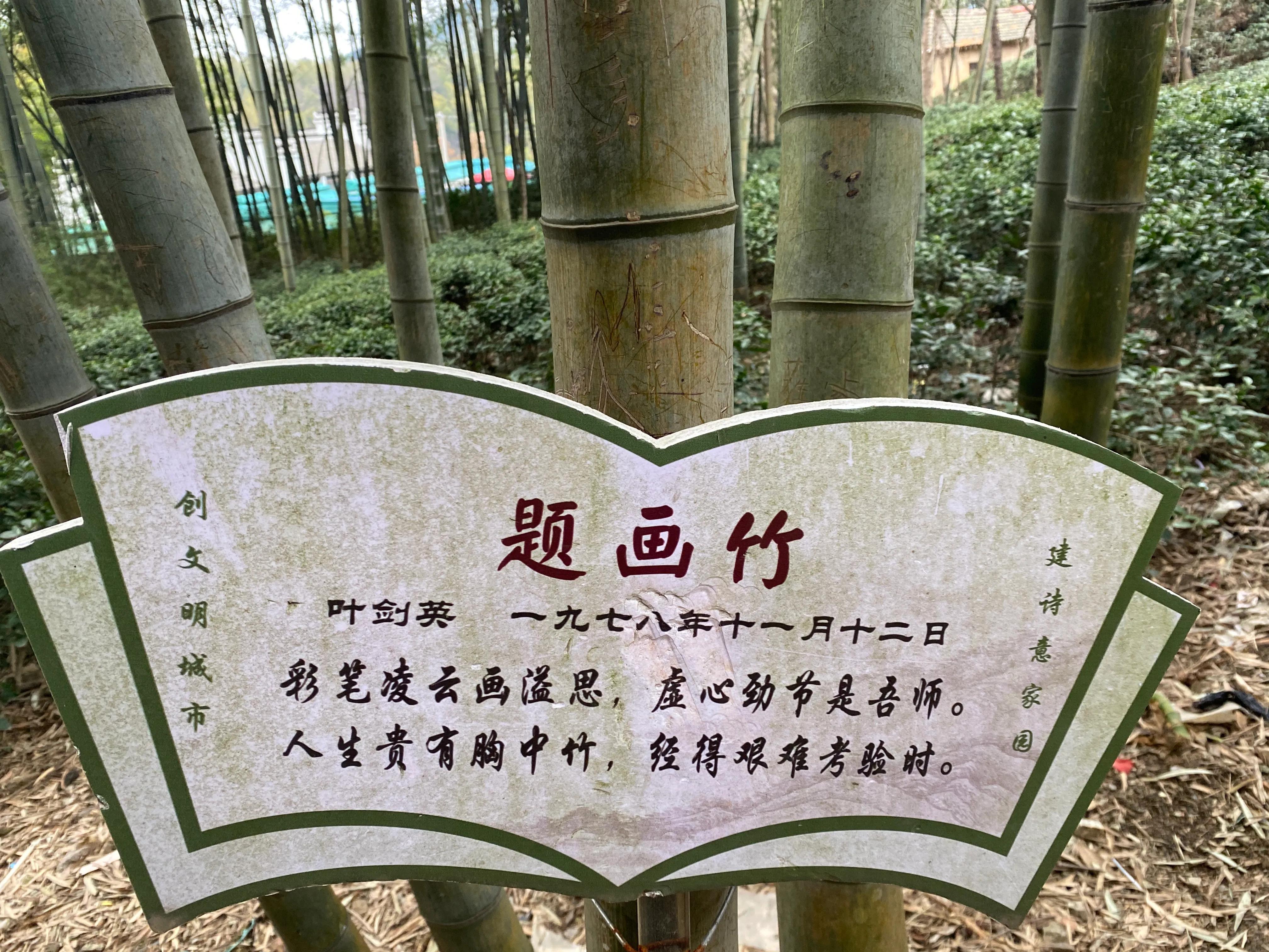 石塘竹海九寨沟,小九寨沟天然氧吧