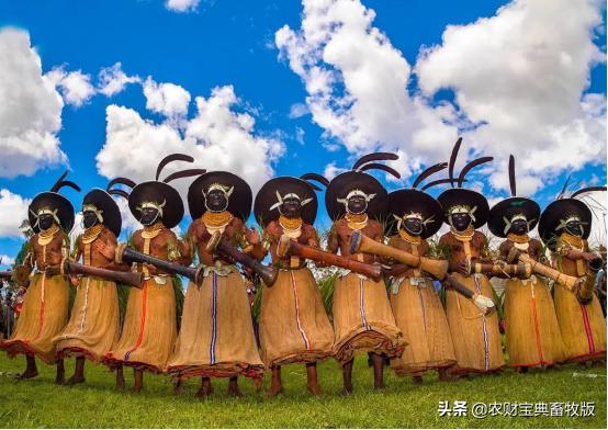 又一国家首次爆发非洲猪瘟疫情!今年内全球已发生3532起非瘟疫情