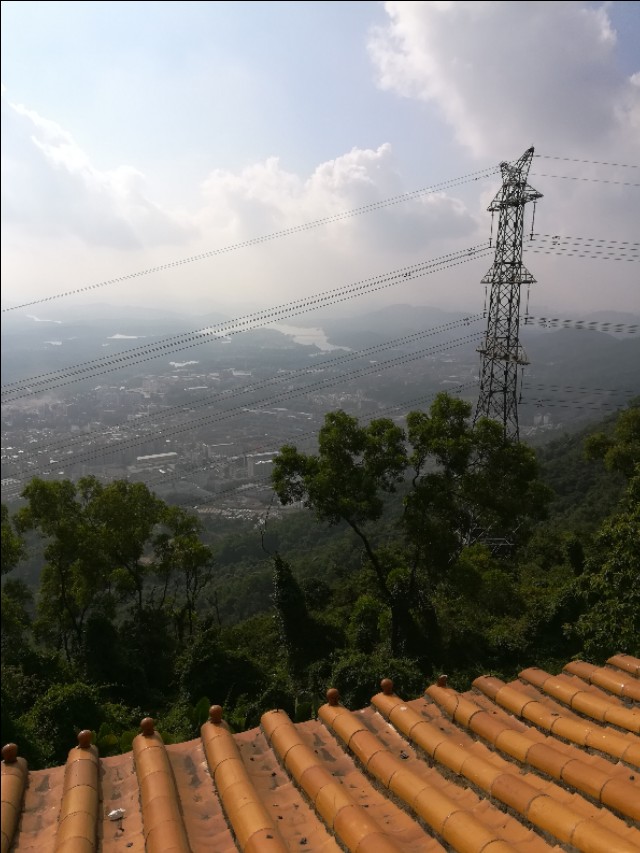 适合发朋友圈青城山后山唯美句子,梧桐山适合发朋友圈的句子