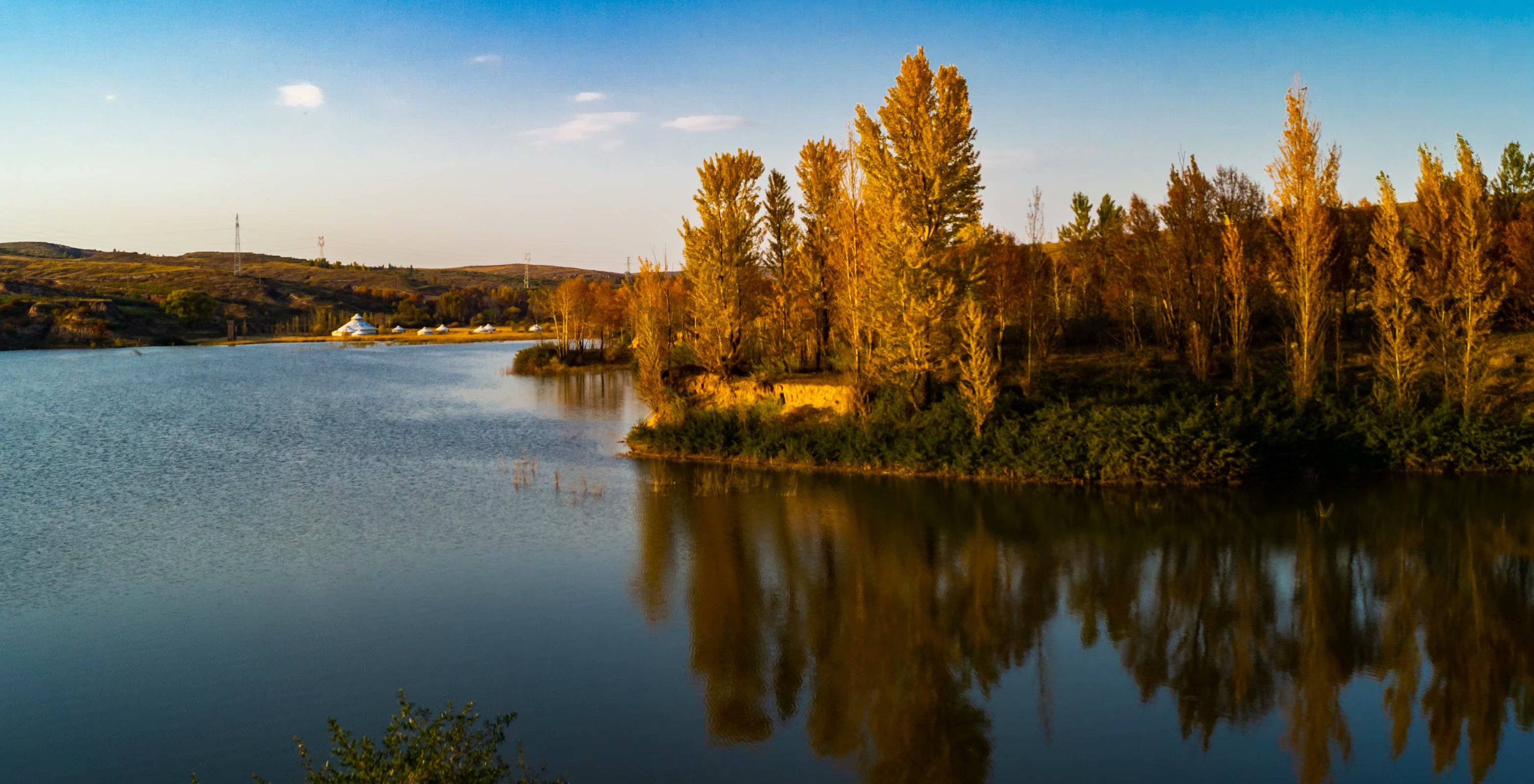 每年有多少考研学生弃考,考研每年有多少人放弃调剂