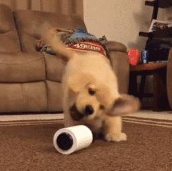 疫情中的替代性创伤,疫情替代性创伤