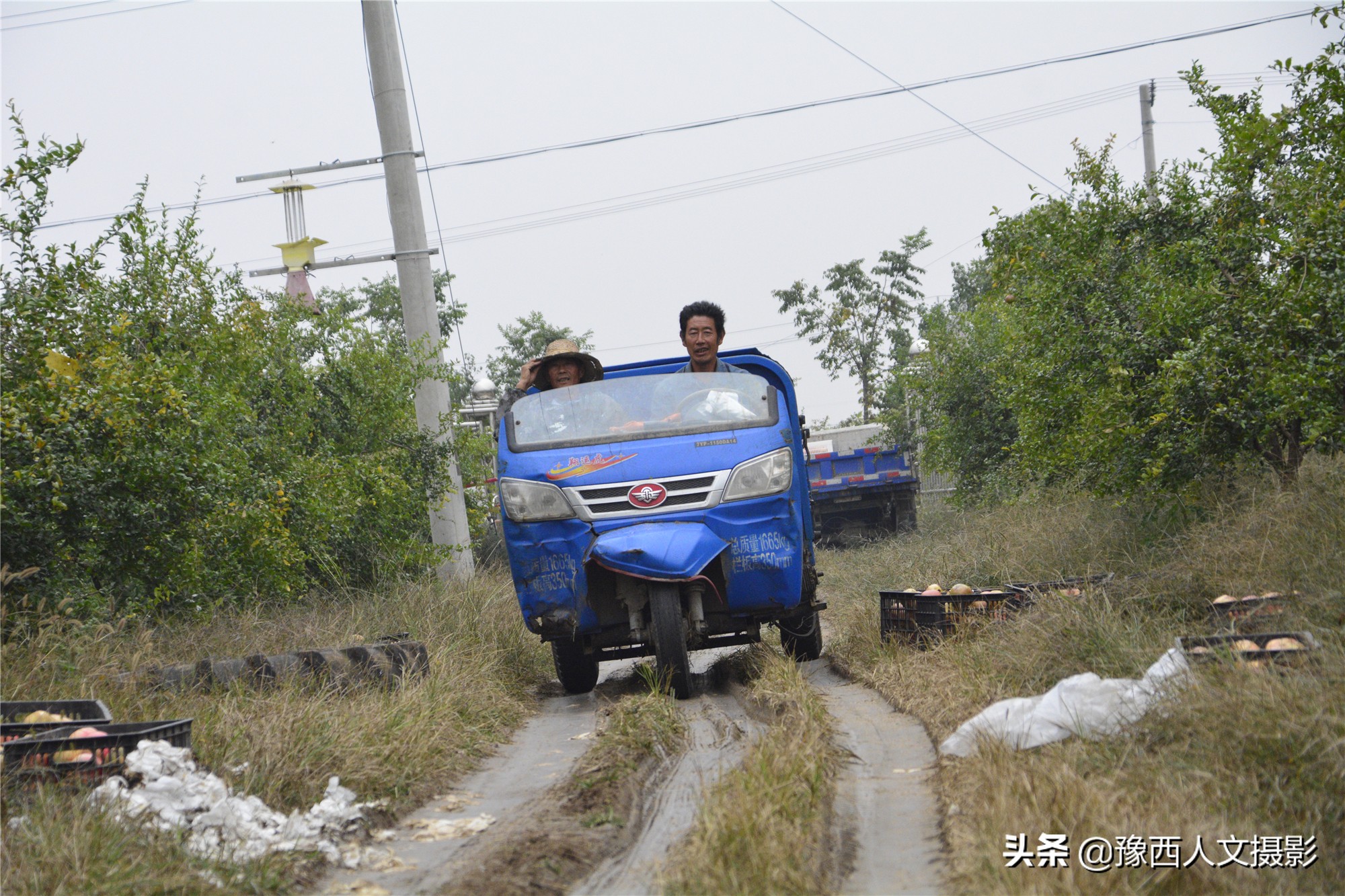 河南小伙京漂6年,回家大数据管理石榴园,决心对标“褚橙”