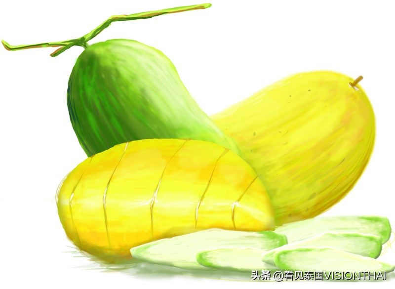 认识50种水果蔬菜,认识热带水果菠萝