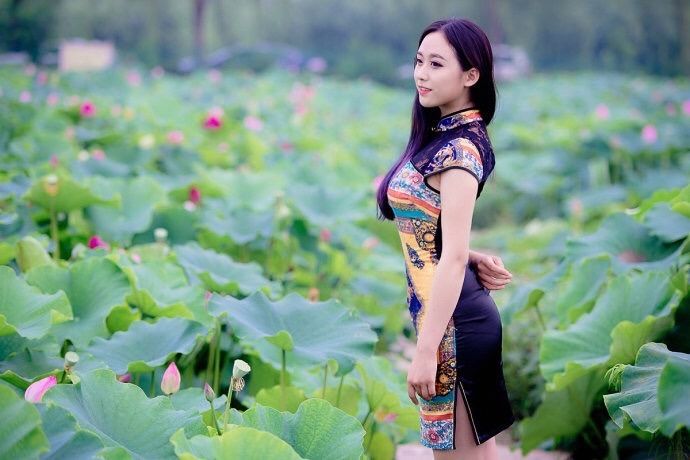 莲花朵朵，心念款款，深情缱绻