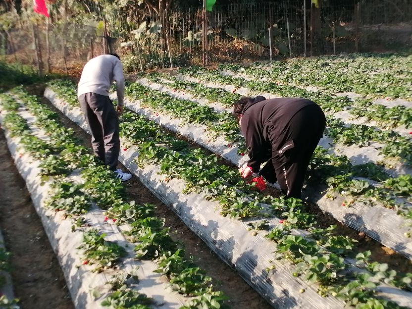 偶遇乡村田园生活视频,偶遇田园生活韩剧演员